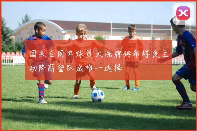国米合同年球员大洗牌姆希塔良主动降薪留队成唯一选择