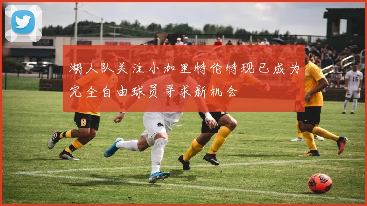 湖人队关注小加里特伦特现已成为完全自由球员寻求新机会
